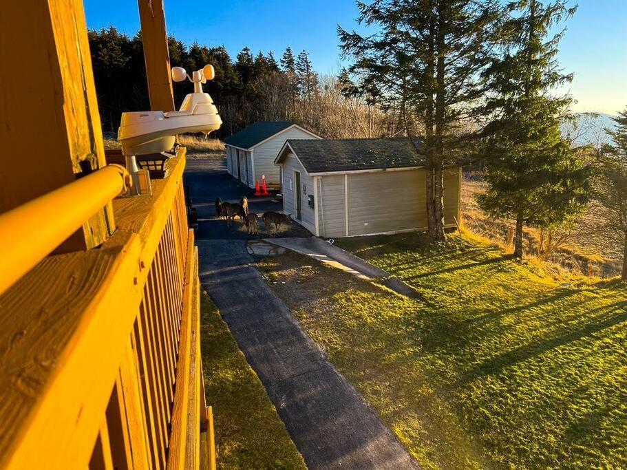202D Summit - Completely Remodeled Modern Condo In Summit! Snowshoe Exterior foto